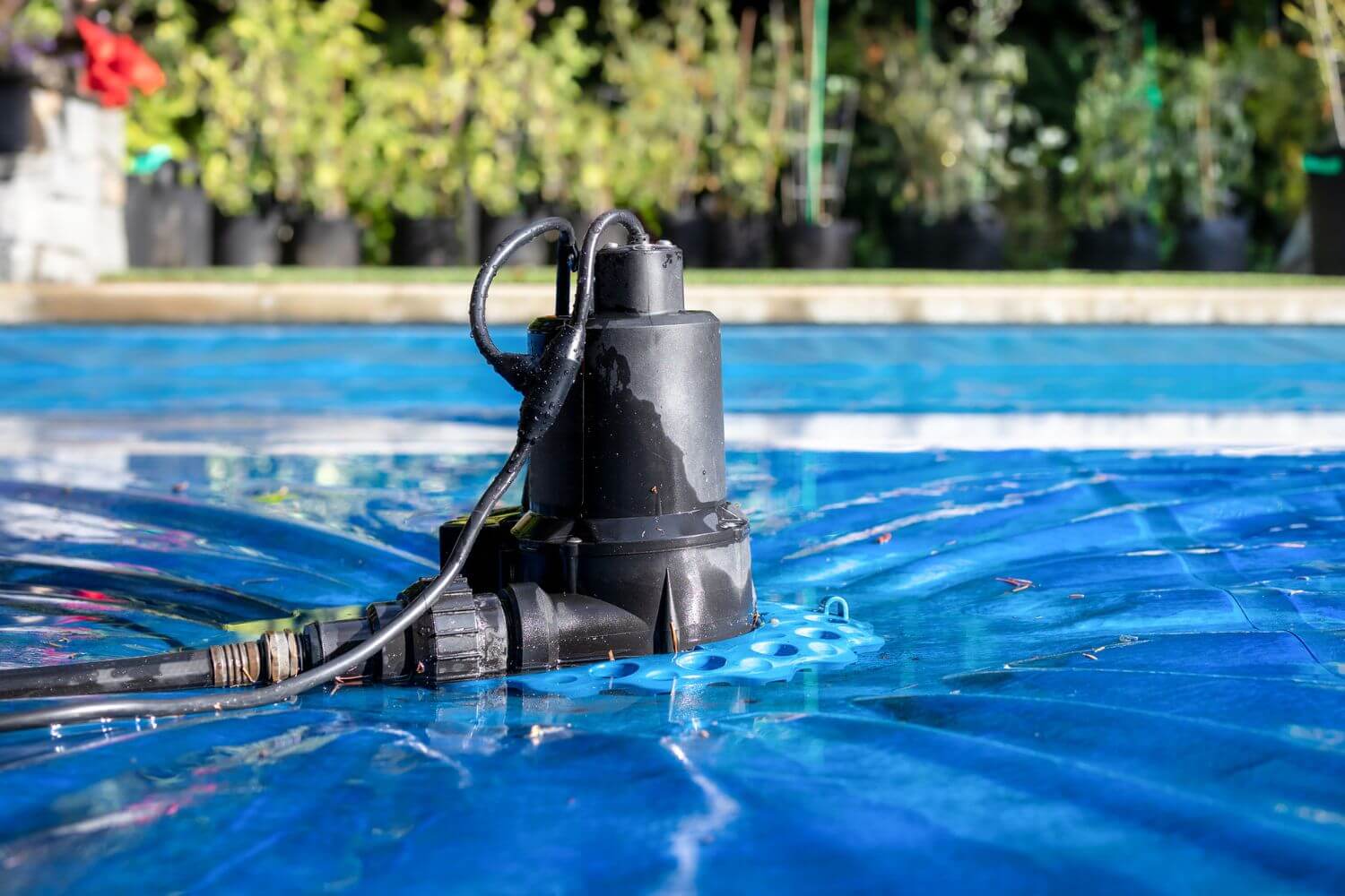 5 Common Problems with Pools & How to Fix Them West Coast Pool and Spa