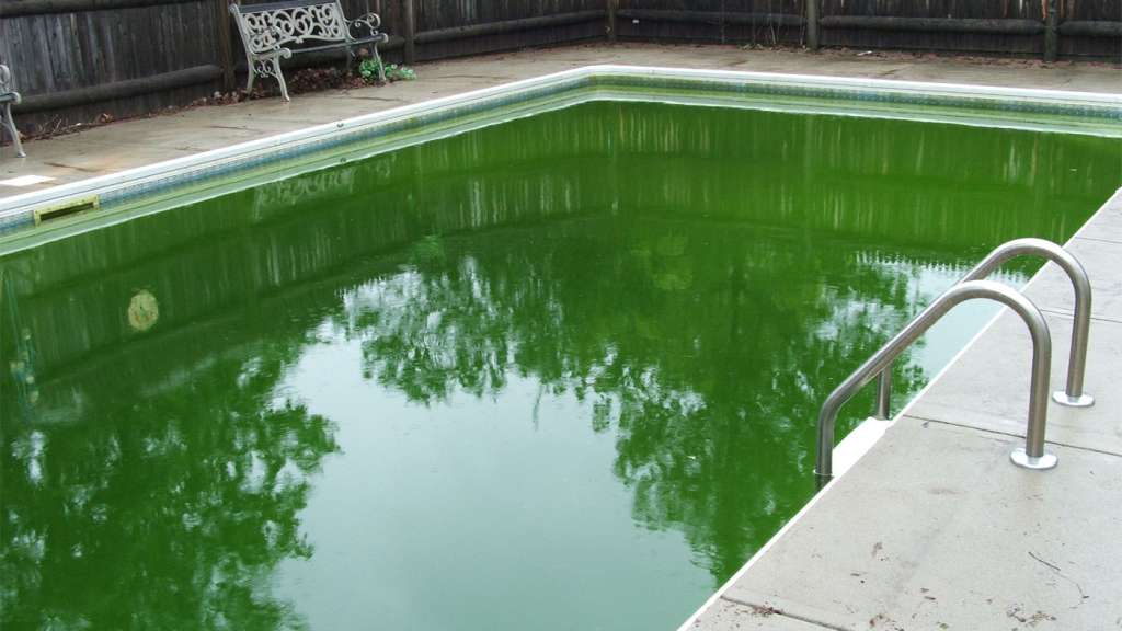 5 Common Problems with Pools & How to Fix Them - West Coast Pool and Spa