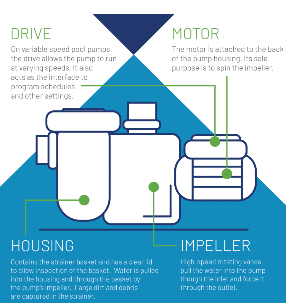 7 Clear Signs You Need to Replace Your Pool Pump - West Coast Pool and Spa